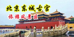 最舒服嫩的小骚逼操逼视频中国北京-东城古宫旅游风景区